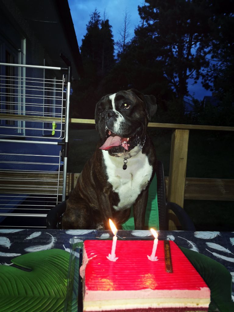 De Matyane - Ouragan a fêté ses 2 ans !